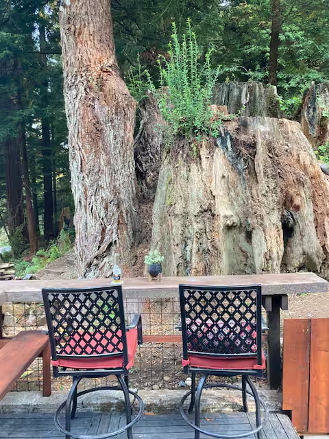 Redwood Retreat property photo 12