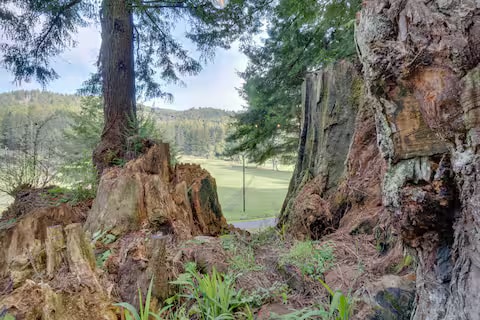 Redwood Retreat property photo 15
