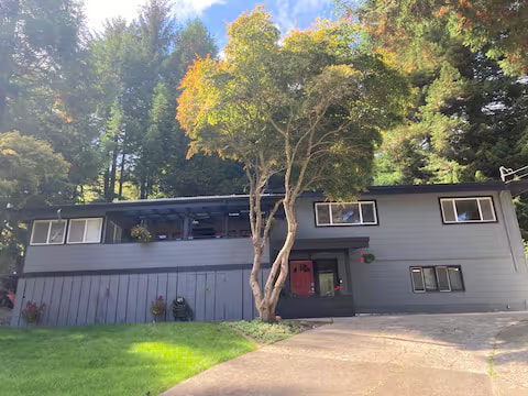 Redwood Retreat property photo 16