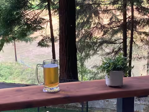 Redwood Retreat property photo 17